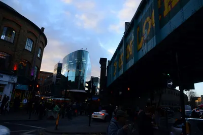 DSC_0446 (Large).JPG